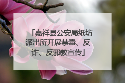 嘉祥县公安局纸坊派出所开展禁毒、反诈、反邪教宣传