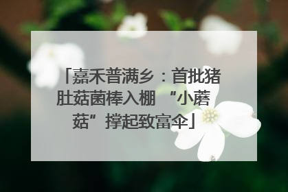嘉禾普满乡：首批猪肚菇菌棒入棚 “小蘑菇”撑起致富伞
