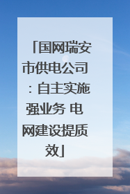 国网瑞安市供电公司：自主实施强业务 电网建设提质效