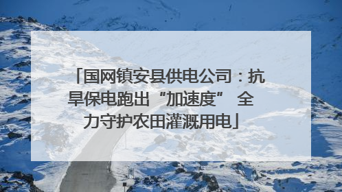 国网镇安县供电公司：抗旱保电跑出“加速度” 全力守护农田灌溉用电