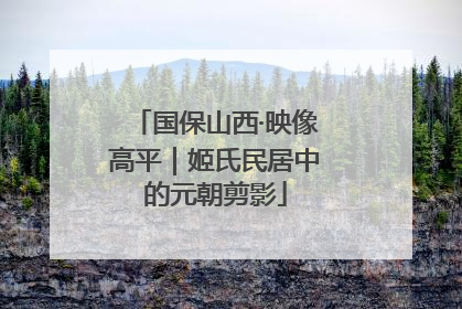 国保山西·映像高平｜姬氏民居中的元朝剪影