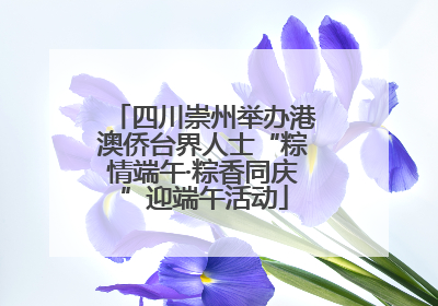 四川崇州举办港澳侨台界人士“粽情端午·粽香同庆”迎端午活动