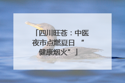 四川旺苍：中医夜市点燃夏日 “健康烟火”