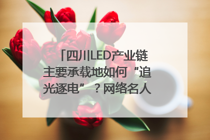 四川LED产业链主要承载地如何“追光逐电”？网络名人走进攀枝花找答案｜网络名人四川行