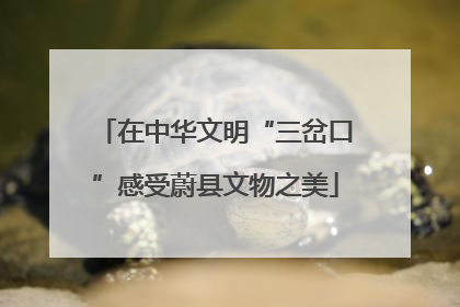 在中华文明“三岔口”感受蔚县文物之美