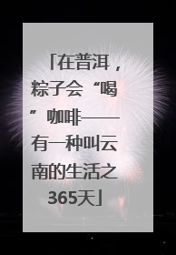 在普洱，粽子会“喝”咖啡——有一种叫云南的生活之365天