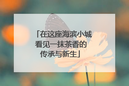 在这座海滨小城 看见一抹茶香的传承与新生