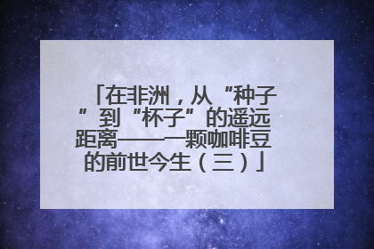 在非洲，从“种子”到“杯子”的遥远距离——一颗咖啡豆的前世今生（三）