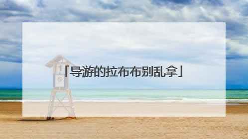 导游的拉布布别乱拿