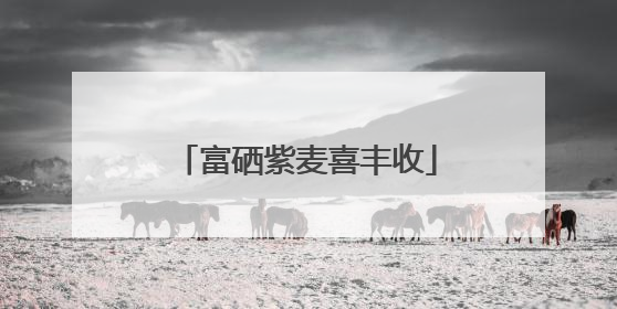 富硒紫麦喜丰收