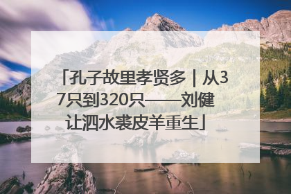孔子故里孝贤多｜从37只到320只——刘健让泗水裘皮羊重生