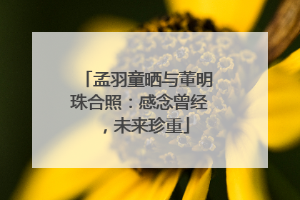 孟羽童晒与董明珠合照：感念曾经，未来珍重