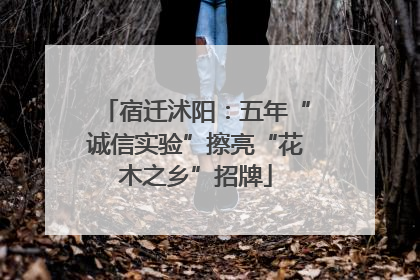宿迁沭阳：五年“诚信实验”擦亮“花木之乡”招牌