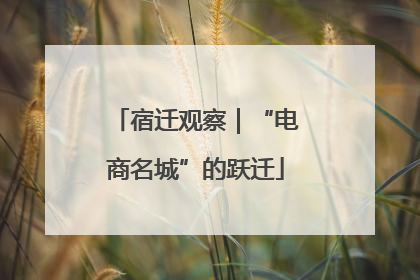 宿迁观察｜“电商名城”的跃迁