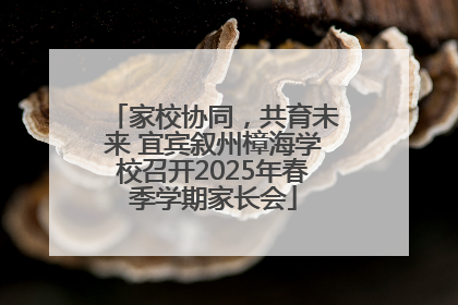 家校协同，共育未来 宜宾叙州樟海学校召开2025年春季学期家长会