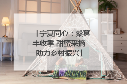 宁夏同心：桑葚丰收季 甜蜜采摘助力乡村振兴