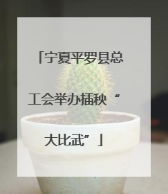 宁夏平罗县总工会举办插秧“大比武”