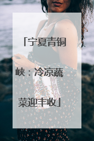 宁夏青铜峡：冷凉蔬菜迎丰收