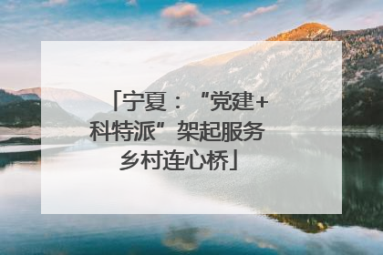 宁夏：“党建+科特派”架起服务乡村连心桥