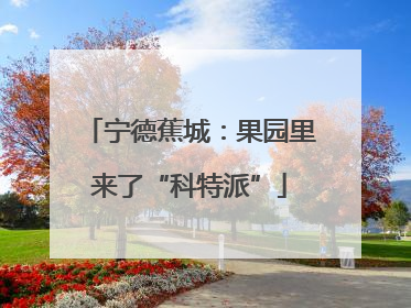 宁德蕉城：果园里来了“科特派”