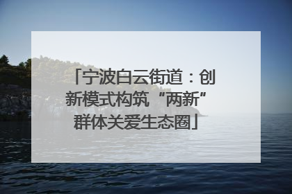 宁波白云街道：创新模式构筑“两新”群体关爱生态圈