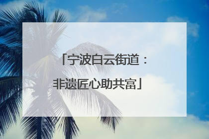 宁波白云街道：非遗匠心助共富