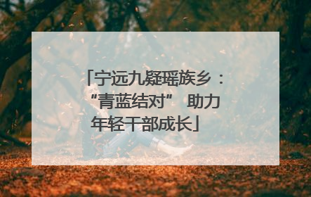 宁远九疑瑶族乡：“青蓝结对” 助力年轻干部成长