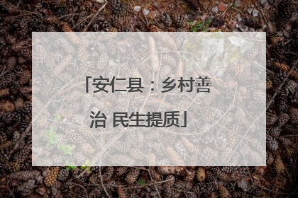 安仁县：乡村善治 民生提质