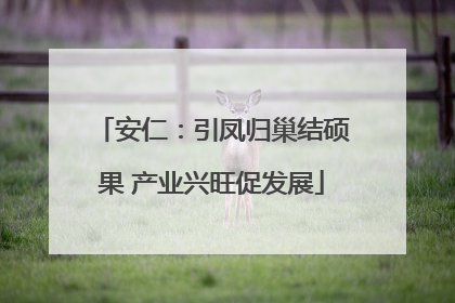 安仁：引凤归巢结硕果 产业兴旺促发展
