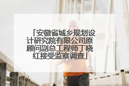 安徽省城乡规划设计研究院有限公司原顾问副总工程师丁晓红接受监察调查