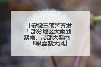 安徽三预警齐发！部分地区大雨到暴雨、局部大暴雨、8级雷暴大风