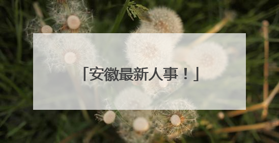 安徽最新人事！