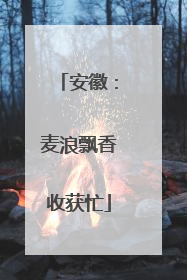 安徽：麦浪飘香收获忙