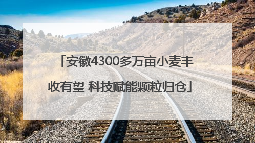 安徽4300多万亩小麦丰收有望 科技赋能颗粒归仓