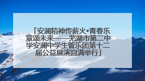 安澜精神传薪火•青春乐章颂未来——芜湖市第二中学安澜中学生管乐团第十二届公益展演圆满举行