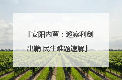 安阳内黄：巡察利剑出鞘 民生难题速解