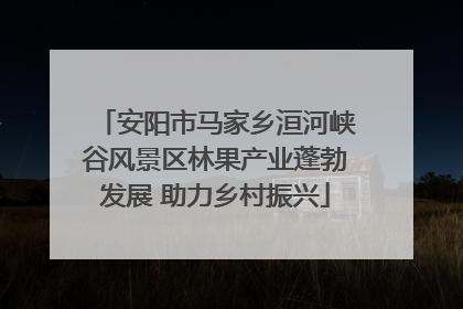 安阳市马家乡洹河峡谷风景区林果产业蓬勃发展 助力乡村振兴