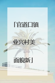 官道口镇 业兴村美面貌新
