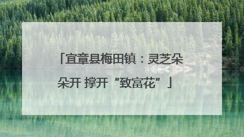 宜章县梅田镇：灵芝朵朵开 撑开“致富花”