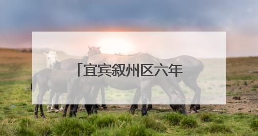 宜宾叙州区六年级数学期末复习研讨活动在叙府实小顺利开展