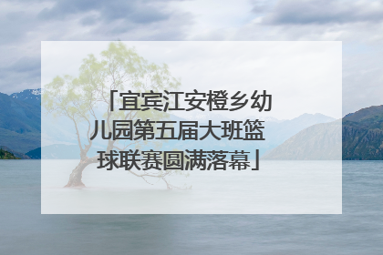 宜宾江安橙乡幼儿园第五届大班篮球联赛圆满落幕