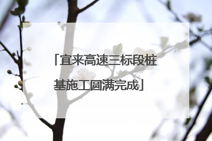 宜来高速三标段桩基施工圆满完成