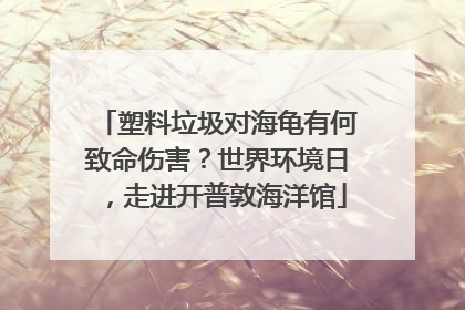 塑料垃圾对海龟有何致命伤害？世界环境日，走进开普敦海洋馆
