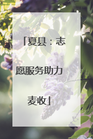 夏县：志愿服务助力麦收
