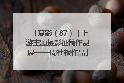 夏影（87）｜上游主题摄影征稿作品展——周社根作品