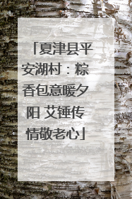 夏津县平安湖村：粽香包意暖夕阳 艾锤传情敬老心