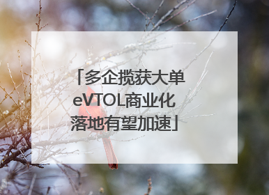 多企揽获大单 eVTOL商业化落地有望加速