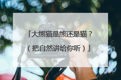 大熊猫是熊还是猫？（把自然讲给你听）