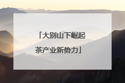 大别山下崛起茶产业新势力
