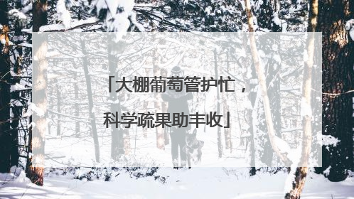 大棚葡萄管护忙，科学疏果助丰收